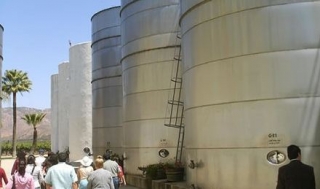 Vino Baja Californiano